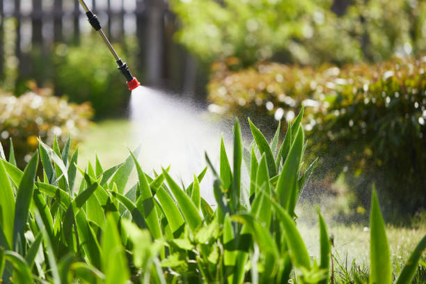 24/7 Emergency Wasp Removal experts in Darien, IL