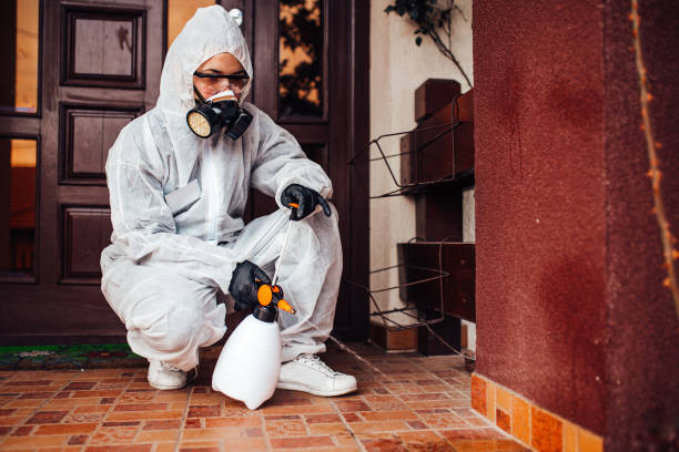 Reliable Wasp Removal contractor in Darien, IL by Show Me Pest Control