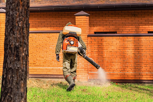 Top rated local Wasp Removal specialists in Darien, IL